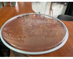 (6098) Пластик Platin 13 дюймов на Барабан Том-foto3