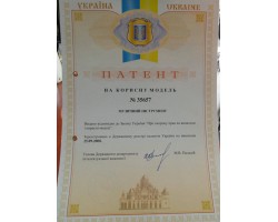 (1817) Арпеджиола Патент [Запатентованный Эксклюзивный Музыкальный Инструмент]-foto12
