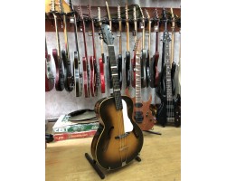 (2322) Эксклюзивная Джазовая Гитара Lignatone-foto4