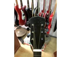(2322) Эксклюзивная Джазовая Гитара Lignatone-foto7