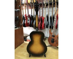 (2322) Эксклюзивная Джазовая Гитара Lignatone-foto9