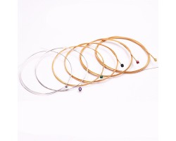 Струны D'Addario EXP16 Light 12-53 фосфорная бронза-foto3