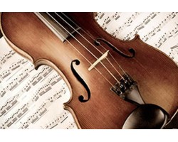 Струны для скрипки Symphony 1032 -foto2