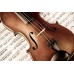 Струны для скрипки Symphony 1032 